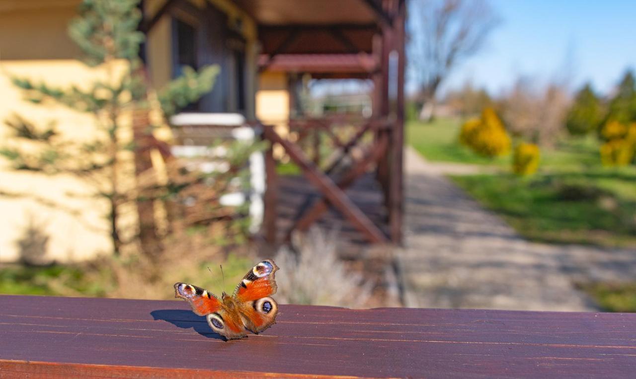 Przyjazna Osada - Domki I Apartamenty Ujście-Darłowskie Dış mekan fotoğraf